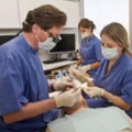 Имплантация зубов в Израиле